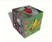 Photo Cube Backyard Birds [Toy]