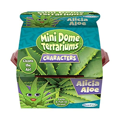 Dunecraft 28071 Alicia Aloe Mini Dome