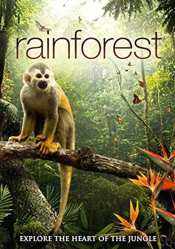 Rainforest DVD