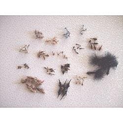 Ultimate Guides 96 Piece Fly Collection