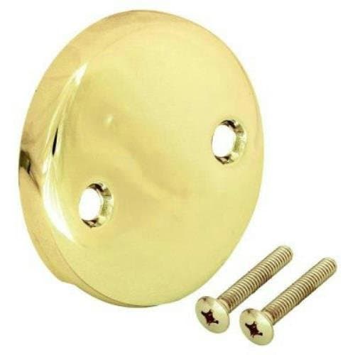 Partmaster Pro Overflow Plate, Polished Brass 58513