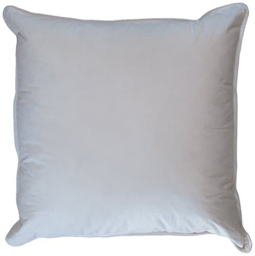 Ogallala Hypodown Decorative Throw 600-fill Down Pillow, Throw 20-Inch by 20-Inch