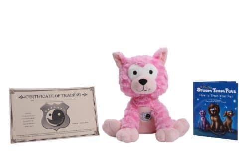 Dream Team Pets Child Sleep Training Magical Cat Bedtime Routine