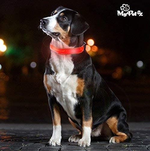My Pet Ez LED Dog Collar - 1 Pack
