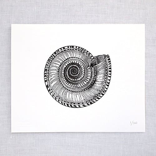 Solarium Shell Letterpress Art Print