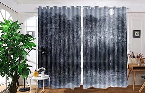 vanfan 2 Panel Set Digital Printed Blackout Window Curtains for Bedroom Living Room Dining Room Kids Youth Room Window Drapes(W108x L95, Night view of the forest by the lak)