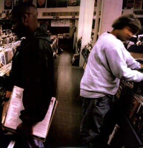 Endtroducing... [VINYL]
