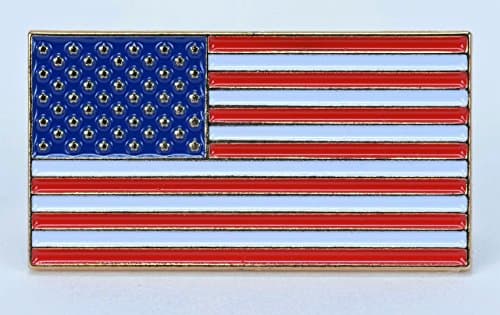 Ten USA RectangularFlag Lapel Pins