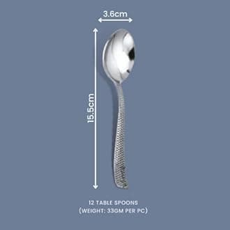 Parage 12 Pieces Stainless Steel Dinner Spoon for Tea, Coffee, Sugar, Condiments & Spices - Set of 12, 16 cm, Silver, Set of 12, (Zig Zag Design)