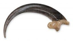 Bald Eagle Large Talon (Museum Quality Replica)