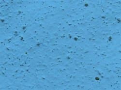 3 Sheets Medium Blue Wildflower Plantable Paper