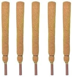 Moss Sticks for Plants 4 Feet, Set of 5 Moss Stick | for Money Plant Support | (120 CM) | Best for Climber Plant to Grow Healthy|| Coco Pole Moss Stick