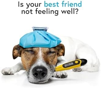 iProven Dog and Cat Thermometer Accurate Heat Detection, Comfortable Flexible Tip, Waterproof Pet Thermometer, Quick Read in 20 Seconds, Munching and Veterinary Supply, DTK-117Y