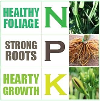 NPK 20 20 20 Fertilizer for All Garden Plants-100% Water Soluble For Plants Growth (250 GM)