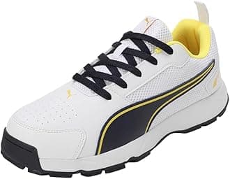 Men Cricket HighRun Cricket Shoe