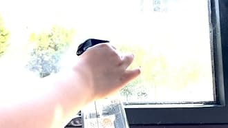 Window Stickers, ‌Stained Glass Window Privacy Film, UV Blocking Static Cling for Home Kitchen Office Bathroom, Geometric Sun, 13.66" X 13.58"