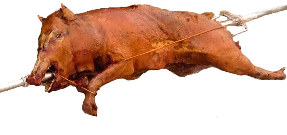 Roaster Large Wild Boar Whole