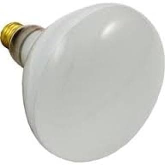 Hayward SPX0504Z7, SPX504-Z-7, SPX504-Z7, SP0503, SP0504, 500 Watt 120 Volt, R40 Light Pool/Spa Flood Lamp Bulb