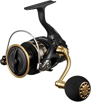 ダイワ(DAIWA) スピニングリール 23BG SW 4000~18000番 各種 (2023年モデル)