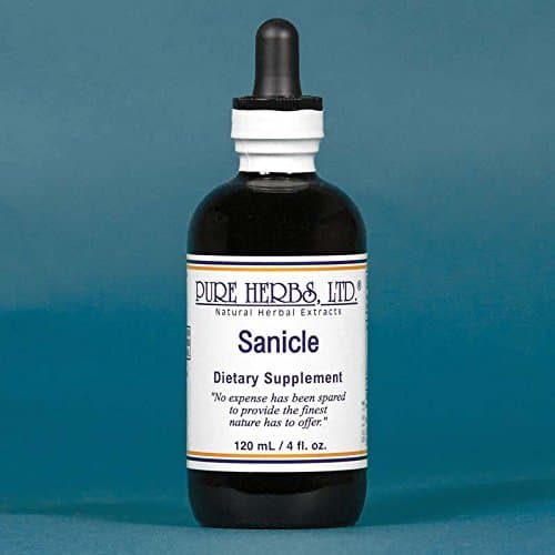 Sanicle