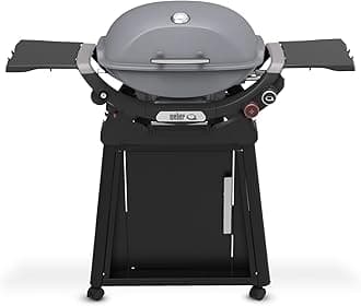 Q 2800N+ Liquid Propane Grill with Stand, Smoke Grey – Wide 250°–700°F Temp Range with Plus Burner for Searing, Low‑Temp Roasting & High-Dome Lid