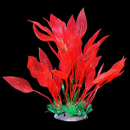 Madagascar Lace Plant Ornament