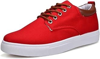tazimall New Casual Sneakers for Men Lace-Up Canvas Shoes Low Top Walking Shoes