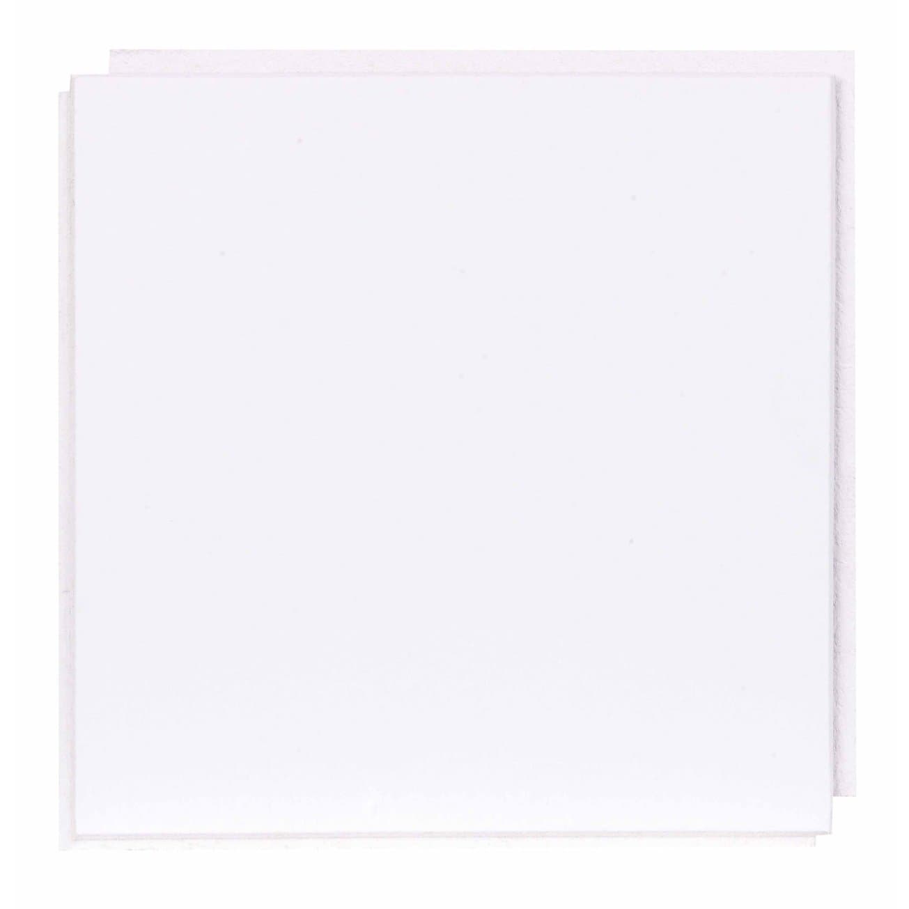 USG Interiors Ceiling Tile 1X1'