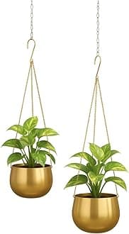 Gold Wall Hanging Metal Planter Pot for Plants Indoor Living Room Balcony Patio Garden | Home Decoration with Flower Pots (Set of 2)