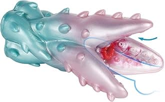 Sex Toys Male Masturbators Botanical Beasts Erotica Allograft Masturbator Pocket Pussy Stimulating Onahole Penis Training Masturbation Cup Thorn Vine | OH-MO-014-G6183