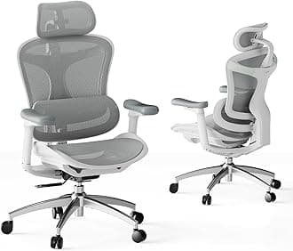 SIHOO Doro C300 Ergonomic Office Chair with Ultra Soft 3D Armrests, Dynamic Lumbar Support for Home Office Chair, Adjustable Backrest Desk Chair (White)