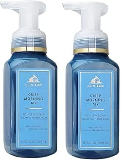 Crisp Morning Air Gentle Foaming Hand Soap Set of 2