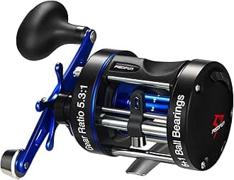 Piscifun Chaos XS Round Reel