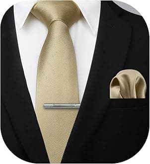 HISDERN Mens Ties Solid Color Wedding Ties and Pocket Square Neckties Clip Sets Business Formal Satin Ties for Men
