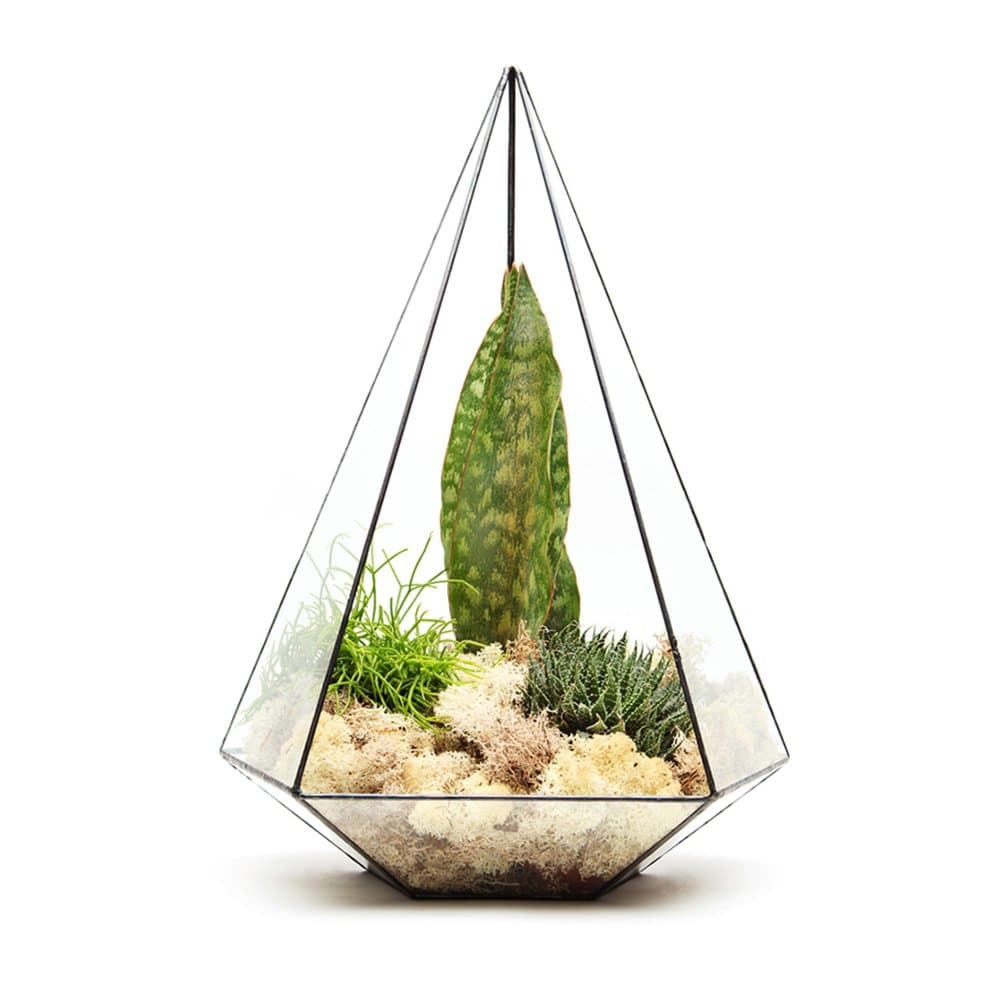 SUPERSIZE EXTRA LARGE TERRARIUM - AZTEC JEWEL - FRAME ONLY also available fully assembled with live succulent plants. High quality glass and copper construction L27cm x H30cm x W49cm Exclusive designer geometric terrariums from The Urban Botanist. Stylish room decorations for home, office, events, interior design schemes (Empty - frame only)