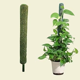 Bhajanlal Greenery Moss Stick/Coco Pole for Climbing Indoor & Outdoor Plants | Green Grass Pole for Housing Plants, Creeper Support | Moss Stick (3FT, 1 Pcs)