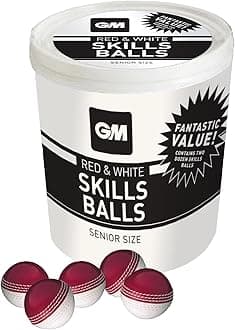 GM Cricket Ball | Rubber Training Skills Swing & Machine Balls | Men's Women's & Junior Sizes | Red White or Pink | Single, 6 or 24