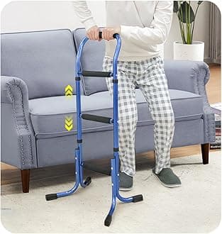 Chair Stand Assist Walking Cane