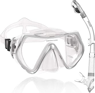 WACOOL Professional Snorkeling Snorkel Diving Scuba Package Set with Anti-Fog Coated Glass Purge Valve and Anti-Splash Silicon Mouth Piece for Men Women (Adults,Silver)