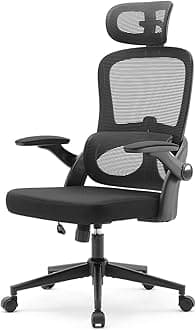 SIHOO Office Chair Desk Chair 3D Flip-up Armrest Independent Lumbar Support 2D Headrest Telework Anti-Fatigue Mesh Chair (Black)