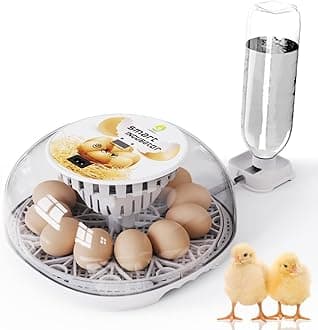 12 Eggs Incubator for Hatching Eggs with Automatic Egg Turner, Temperature Control, Automatic Water Adding for Hatching Chicken, Duck, Quail, Pigeon