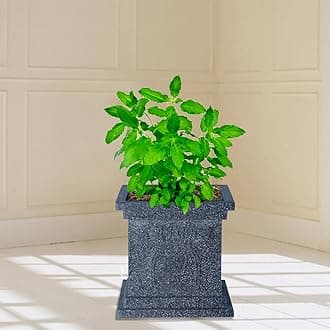TULSI Pot 12 INCH Stone Finish German Polymer for Indoor/Outdoor USE GAMLA/GAMLE/Planter (Grey Marble)