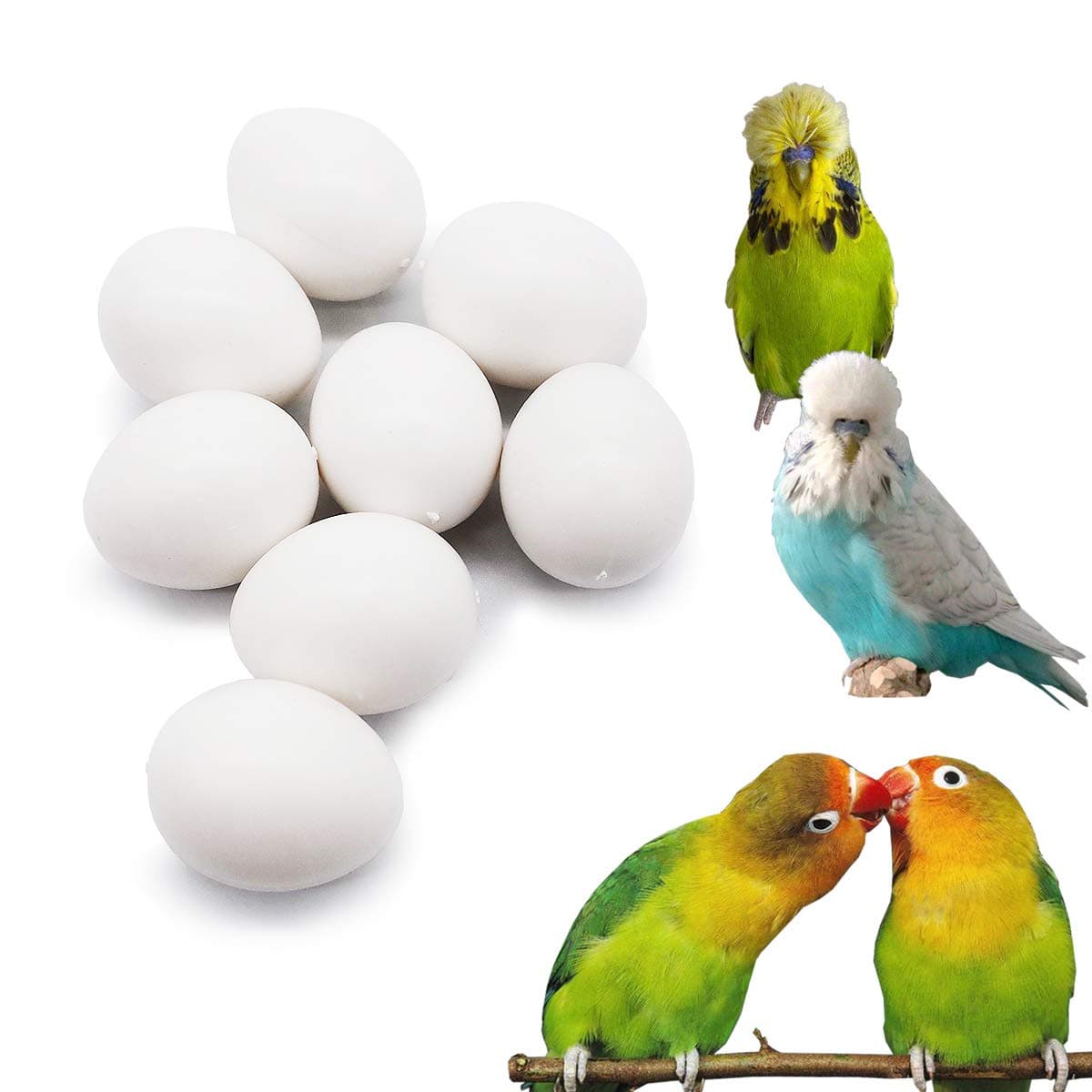 FOIBURELY 8 Pcs Solid Parrot Plastic Eggs Hatching Eggs Lovebird, Bourkes, Lineoleated, Eng Budgie. Trick The Birds to Stop Laying Eggs, Fake Eggs（22mm*18mm）