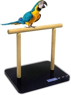 Digital Bird Scale with Perch, Max 44lbs, Black, Suitable for Parrot and All Kinds of Bird
