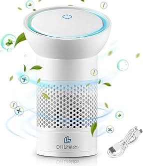 DH Lifelabs | Sciaire Portable Air Purifiers | Ions Actively Clean & Deodorize Air | Eliminates 99% Bacteria & Viruses | 3-Stage Purifier Filter for Allergies Pets | USB Powered for Car Personal Space