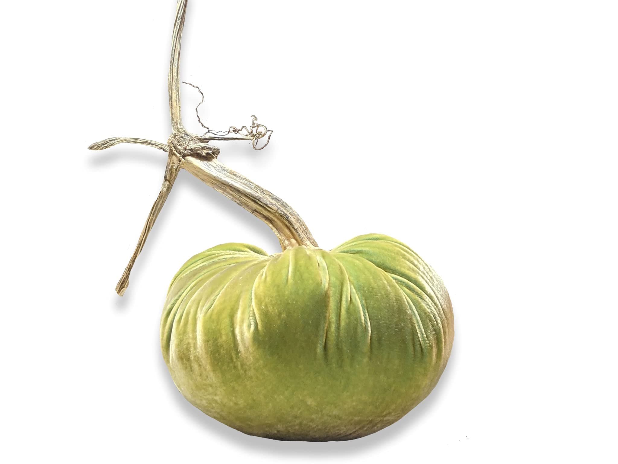 silk velvet pumpkin (10 Inch, Celery)