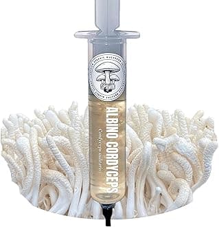 Albino Cordyceps (Cordyceps militaris) Liquid Culture 20mL | Spawn Mycology