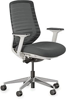 Ergonomic Chair - A Versatile Desk Chair with Adjustable Lumbar Support, Breathable Mesh Backrest, and Smooth Wheels - Experience Optimal Comfort and Support - Graphite - White