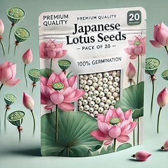 Ezeegrow Japanese Lotus Seed High Germination Rate Premium Pack for Planting in Water Indoor Lotus Kamal Gatta Flower Seed Home Gardening Indoor Outdoor Home Balcony (Pack of 60, 3, count)