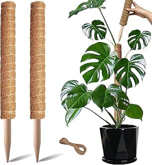 Moss Pole, 2 Pack 17 Inch Monstera Plant Support for Climbing Plants Accessories Indoor, Stackable Moss Poles Plant Support Stakes, Coir Plant Pole Sticks for Potted Plants, Pothos, Philodendron